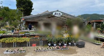 姫路「旬花のお店　花もん屋」おすすめのお花屋さんに行ってきました！