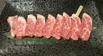 姫路焼肉『炭火焼肉 牛恋』A5国産黒毛和牛をリーズナブルに楽しめる焼肉屋さん！お肉メニューとお値段紹介【姫しばグルメ】
