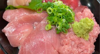 姫路『和庵 いっしん』美味しいねぎトロマグロ丼と海鮮丼いただきました！【姫しばグルメ・ランチ】