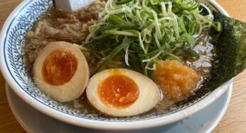 姫路『丸源ラーメン 姫路保城店』熟成醤油ラーメンを食べました！【姫しばグルメ・ランチ】