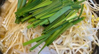 ふるさと納税 12,000円【国産もつ鍋セッ1.1kg(モツ増量＋スープ付き)阿蘇の逸品】を頼みました。
