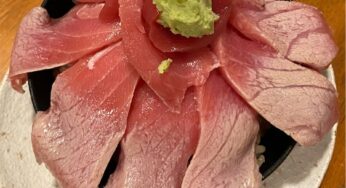 姫路のれん街「姫路酒肴魚寿司」大トロ丼ランチ#バズ丼安くて新鮮なインスタ映えするお寿司
